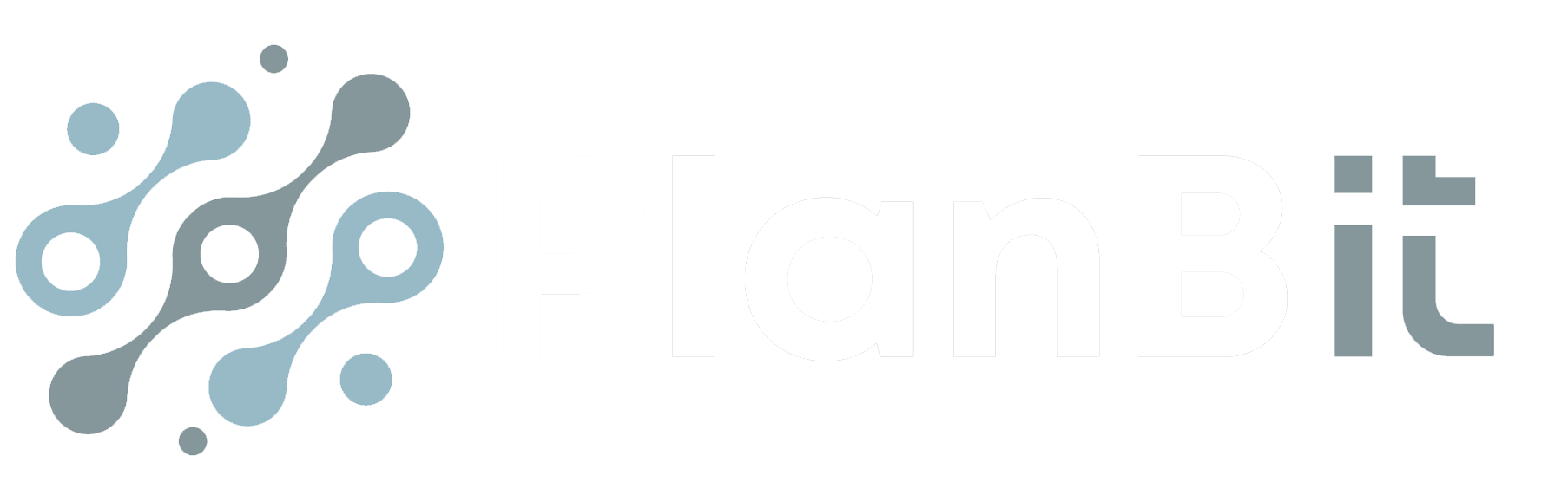 Plan B IT AS